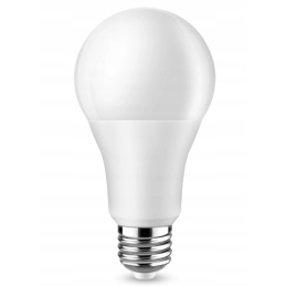 LED žárovka - E27 - A80 - 25W - 2250Lm - studená bílá